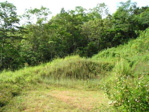 REDLYNCH QLD, 4870, Redlynch - Thumbnail 2