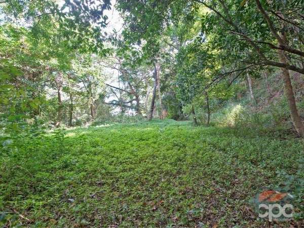 88 Cassowary Street, Freshwater - Thumbnail 3