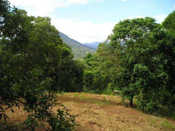 BRINSMEAD QLD, 4870, Brinsmead - Thumbnail 5