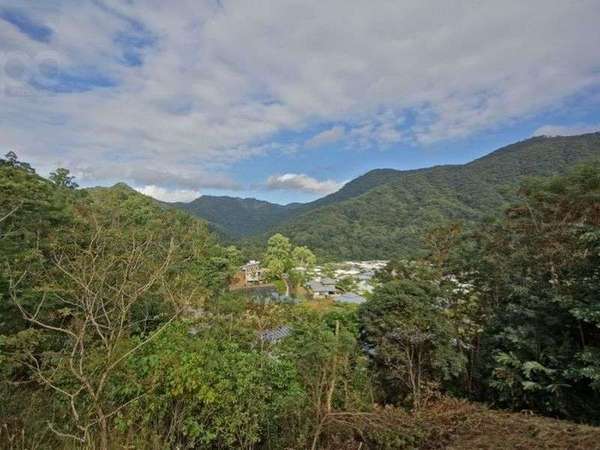 38 Gavin Hamilton Close, Redlynch - Thumbnail 4