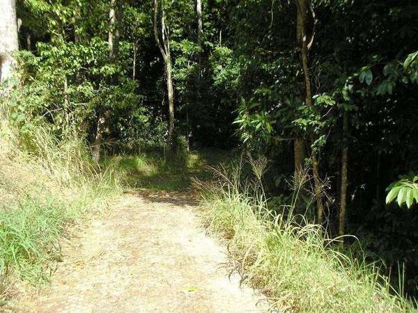 REDLYNCH QLD, 4870, Redlynch - Thumbnail 3