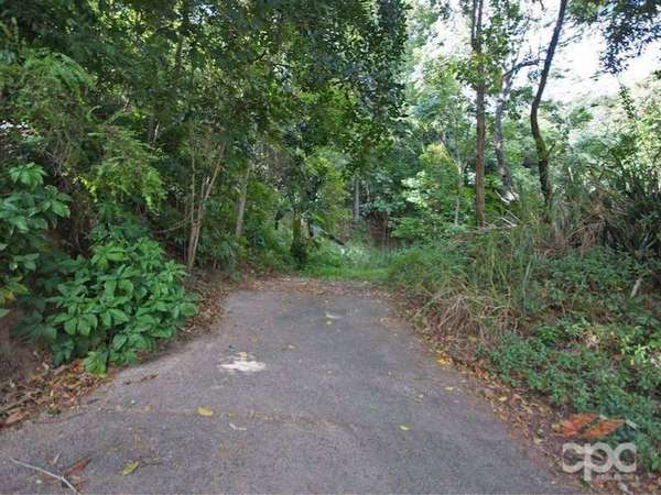 88 Cassowary Street, Freshwater - Thumbnail 6