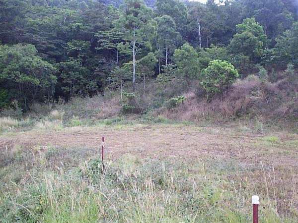 REDLYNCH QLD, 4870, Redlynch - Thumbnail 2