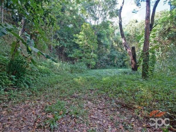 88 Cassowary Street, Freshwater - Thumbnail 2