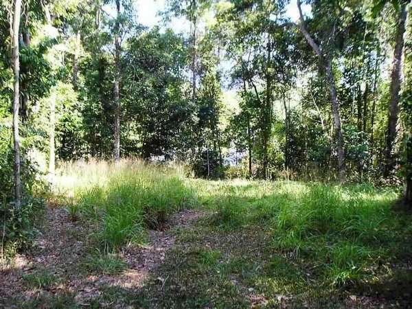 REDLYNCH QLD, 4870, Redlynch - Thumbnail 2