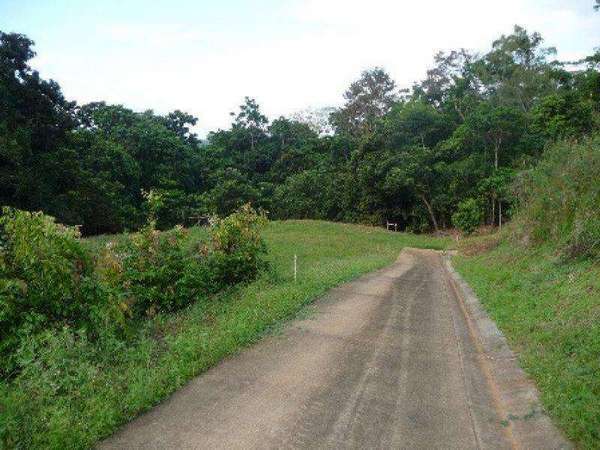REDLYNCH QLD, 4870, Redlynch - Thumbnail 2