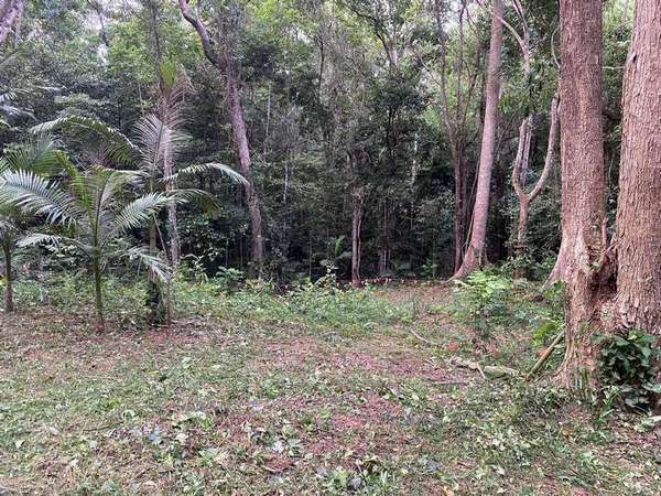 51 Latreille Tce, Brinsmead - Thumbnail 2