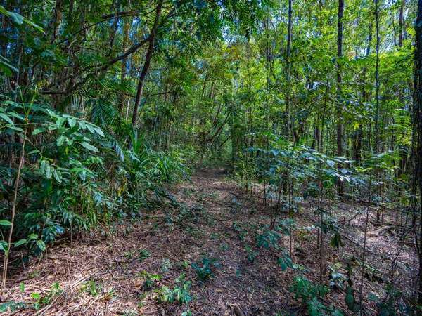 Lot 7 Discovery Drive, Kuranda - Thumbnail 3