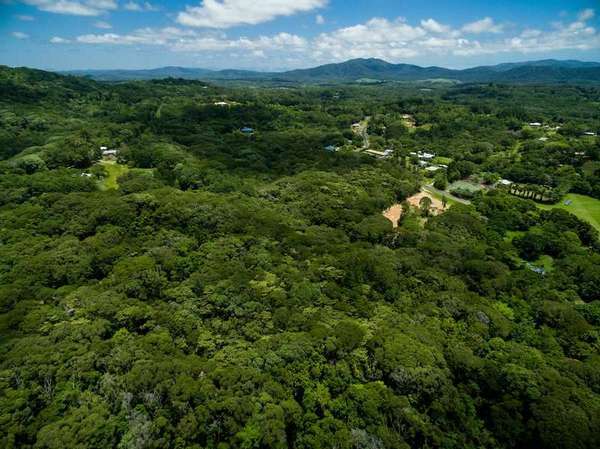 Lot 1 Discovery Drive, Kuranda - Thumbnail 4