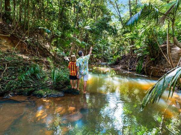 1-11 Discovery Drive, Kuranda - Thumbnail 7