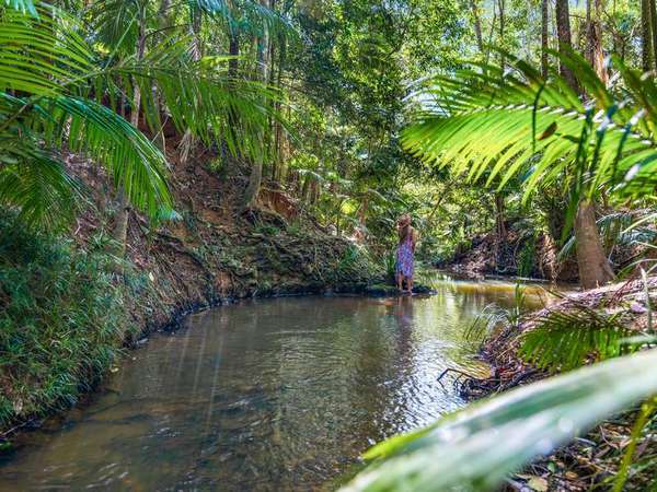 Lot 9 Discovery Drive, Kuranda - Thumbnail 4