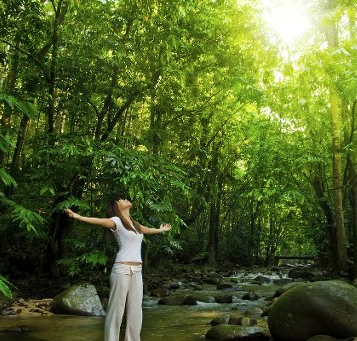 Lot 10 Discovery Drive, Kuranda - Thumbnail 3