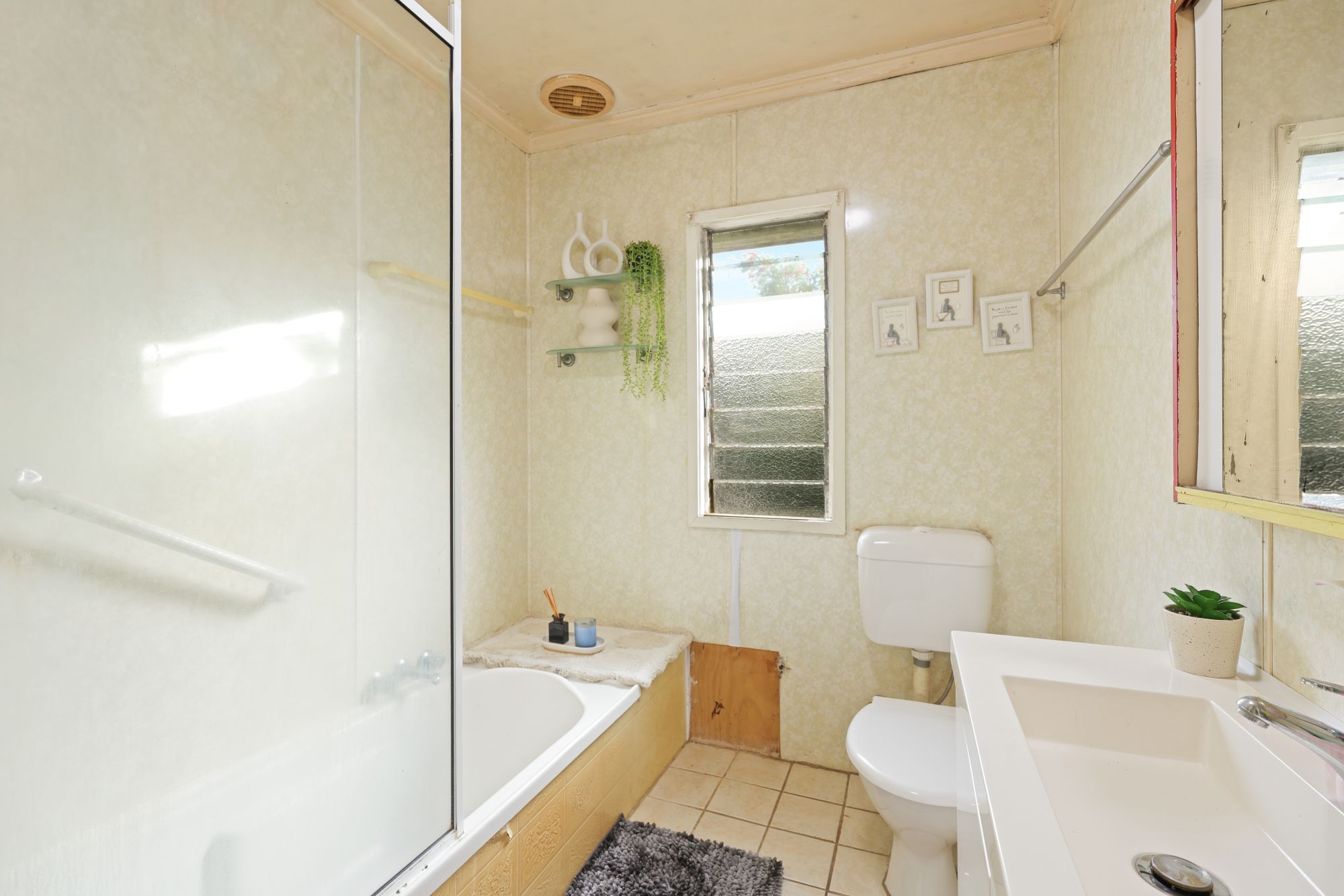 77 Balaclava Road, Earlville - Thumbnail 7