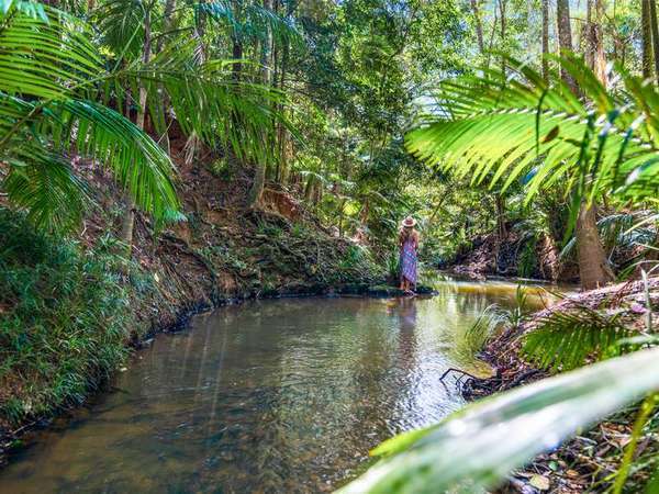 Lot 7 Discovery Drive, Kuranda - Thumbnail 2