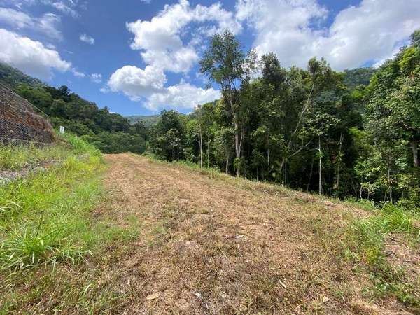 78-80 Cascades Drive, Redlynch - Thumbnail 2