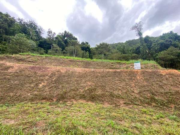 93-95 Cascades Drive, Redlynch - Thumbnail 2