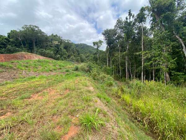 74-76 Cascades Drive, Redlynch - Thumbnail 2