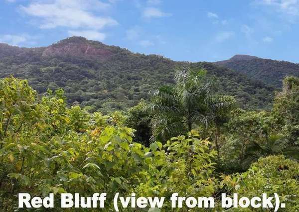 6 Cananga Close, Kamerunga - Thumbnail 5
