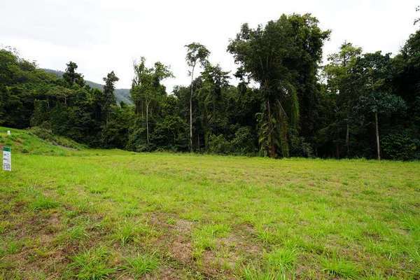 98-100 Cascades Drive, Redlynch - Thumbnail 4