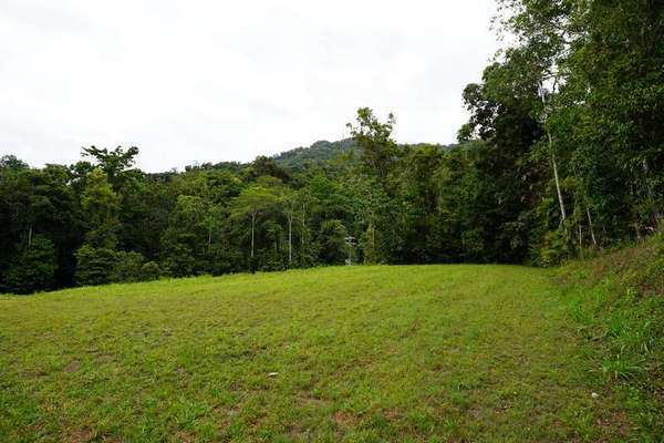 69-71 Cascades Drive, Redlynch - Thumbnail 3