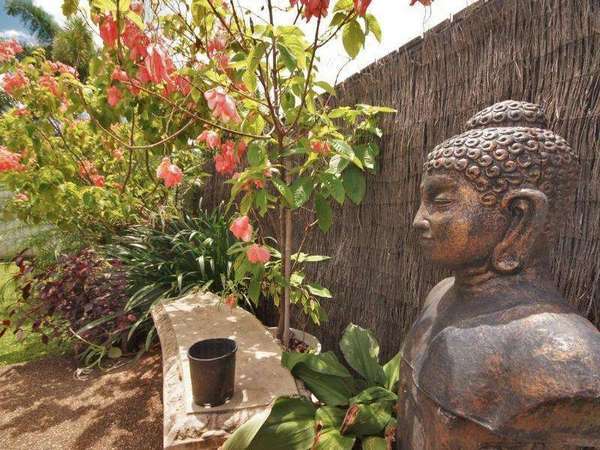 10 Bayu Close, Redlynch - Thumbnail 4