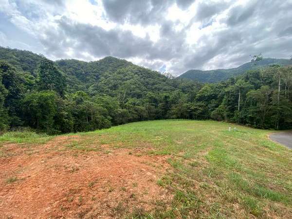 70-72 Cascades Drive, Redlynch - Thumbnail 2