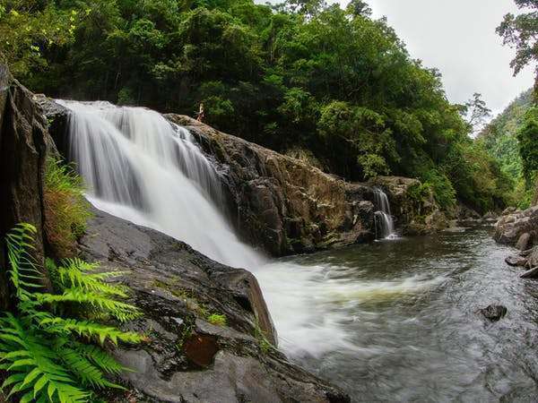 969 Redlynch Intake Road, Redlynch - Thumbnail 3