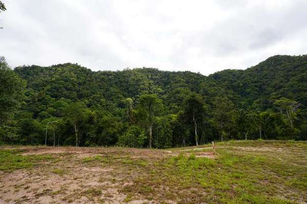 2 Cascades Drive, Redlynch - Thumbnail 5