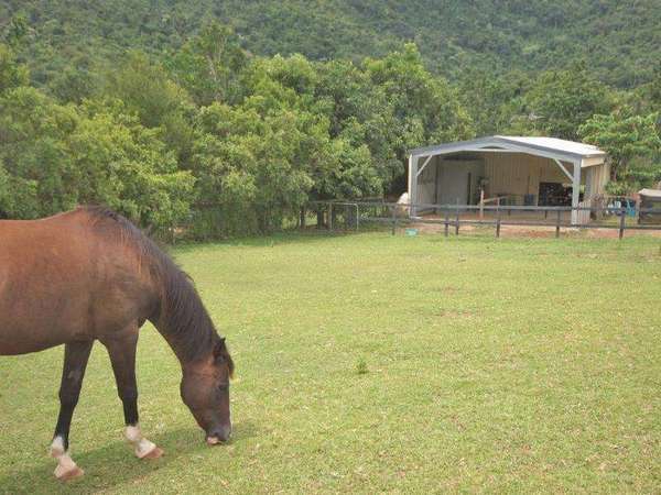5-7 Mary Parker Drive, Redlynch - Thumbnail 4