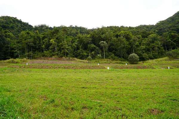 16 Cascades Drive, Redlynch - Thumbnail 2