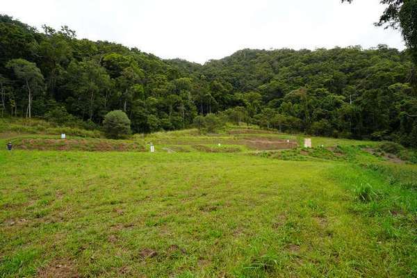 98-100 Cascades Drive, Redlynch - Thumbnail 3