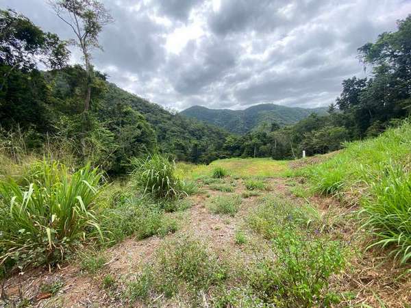 74-76 Cascades Drive, Redlynch - Thumbnail 3
