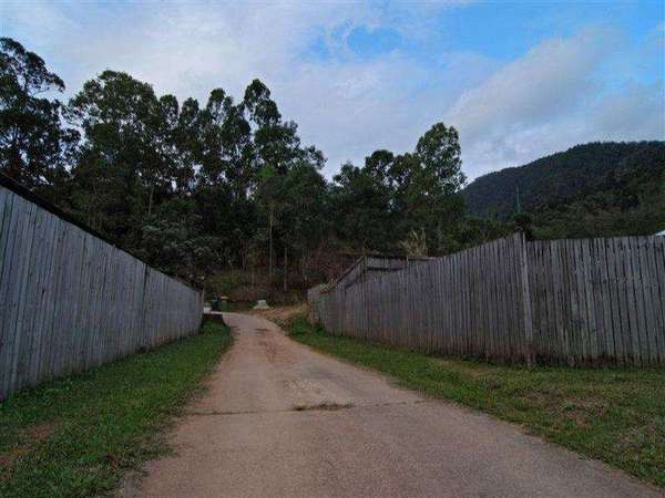 31 William Hickey Street, Redlynch - Thumbnail 7