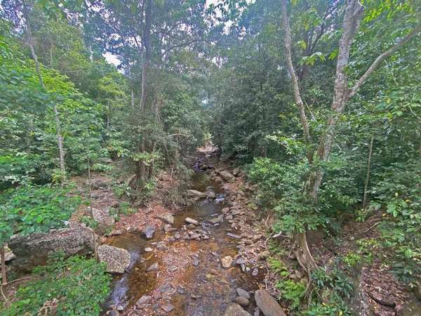 6 Cananga Close, Kamerunga - Thumbnail 7