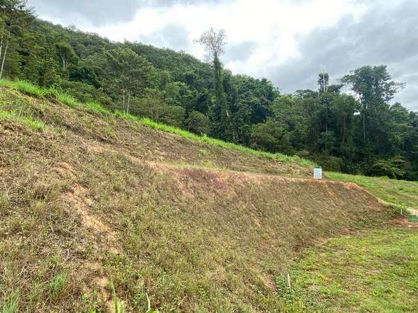 93-95 Cascades Drive, Redlynch - Thumbnail 6