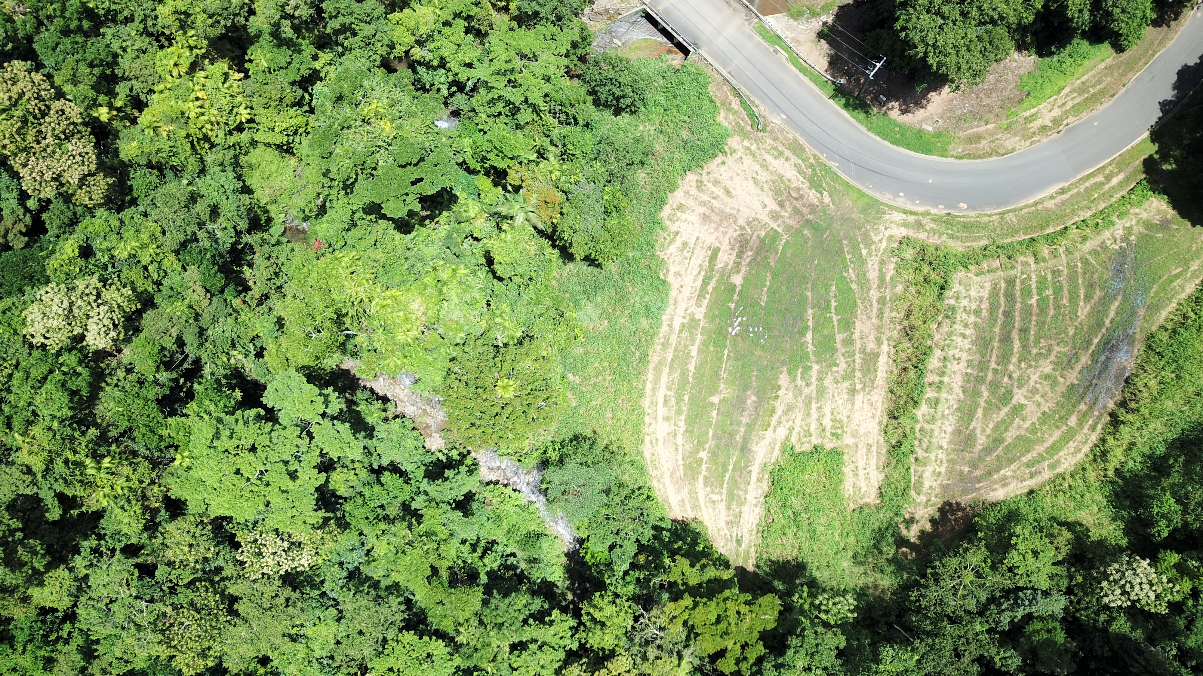 65-67 Cascades Drive, Redlynch - Thumbnail 2