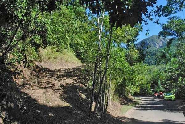 6 Cananga Close, Kamerunga - Thumbnail 3
