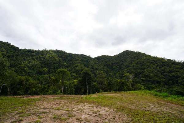 2 Cascades Drive, Redlynch - Thumbnail 4