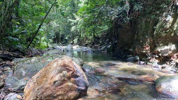 77-79 Cascades Drive, Redlynch - Thumbnail 8