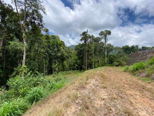 78-80 Cascades Drive, Redlynch - Thumbnail 4