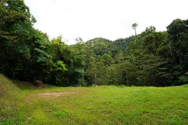 57-59 Cascades Drive, Redlynch - Thumbnail 5
