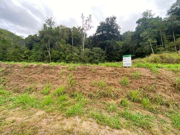 81-83 Cascades Drive, Redlynch - Thumbnail 4
