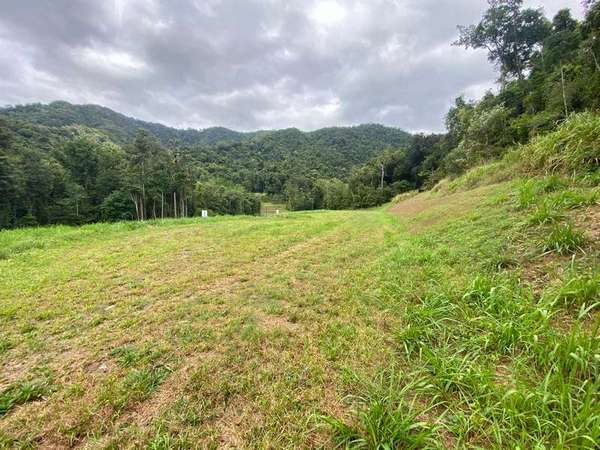 85-87 Cascades Drive, Redlynch - Thumbnail 3