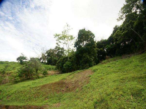 12 Barringtonia Close, Redlynch - Thumbnail 5