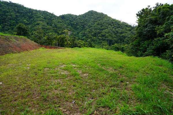 49-51 Cascades Drive, Redlynch - Thumbnail 2