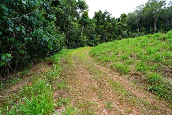 49-51 Cascades Drive, Redlynch - Thumbnail 3