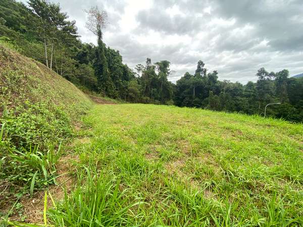 93-95 Cascades Drive, Redlynch - Thumbnail 4