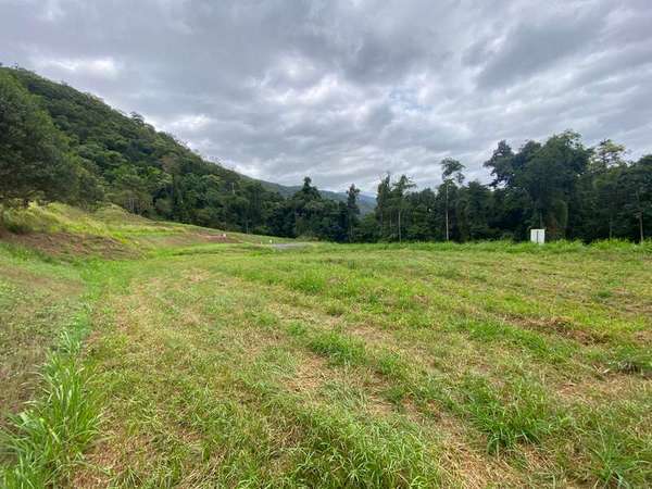 85-87 Cascades Drive, Redlynch - Thumbnail 2