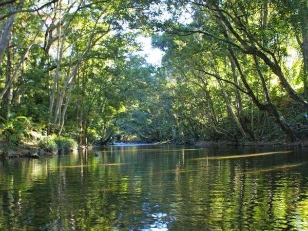 41 Gamburra Drive, Redlynch - Thumbnail 2