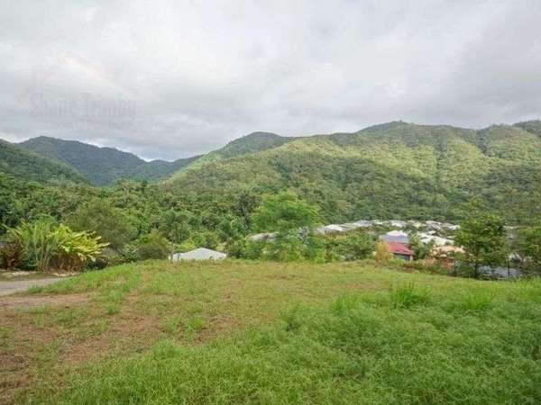10 Stack Close, Redlynch - Thumbnail 4
